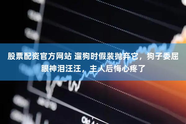 股票配资官方网站 遛狗时假装抛弃它，狗子委屈眼神泪汪汪，主人后悔心疼了