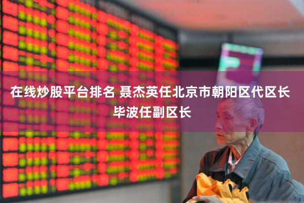 在线炒股平台排名 聂杰英任北京市朝阳区代区长 毕波任副区长